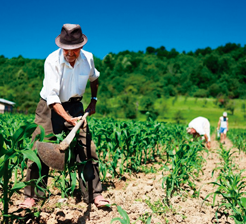 FOTO-CHAMADA-SERVICO11