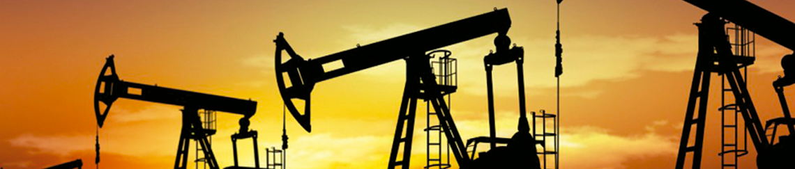 SLIDE-TERRA-PG-INTERNO-ATUACAO05